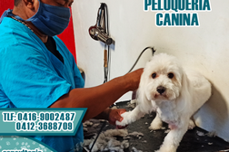Consultorio Veterinario Mascotas Felices c.a